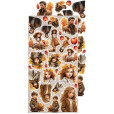 Набор бумаги для скрапбукинга Craft O'Clock AUTUMNARIA Extras Set AUTUMN 15х30см (9 листов)