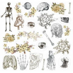 Набор высечек Dreamlight Studio HOMO SAPIENS