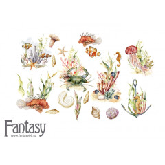 Набор высечек на картоне Fantasy ТЕПЛОЕ МОРЕ - 53 19шт