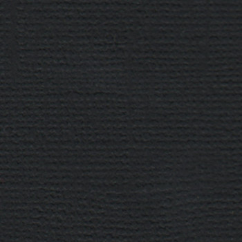 Кардсток Mr.Painter ВОРОНОЙ КОНЬ (черный) 216г/м2 30х30см