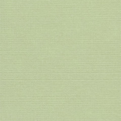 Кардсток Mr.Painter ФИСТАШКОВОЕ МОРОЖЕНОЕ (бледно-зеленый) 216г/м2 30х30см
