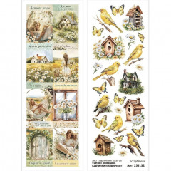 Лист с картинками ScrapMania СЕЗОН РОМАШЕК - КАРТИНКИ И КАРТОЧКИ 10х30см
